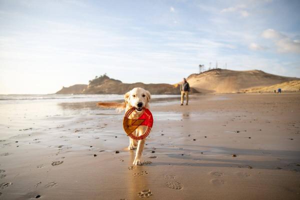 Ruffwear Pacific Ring Toy Sockeye Red